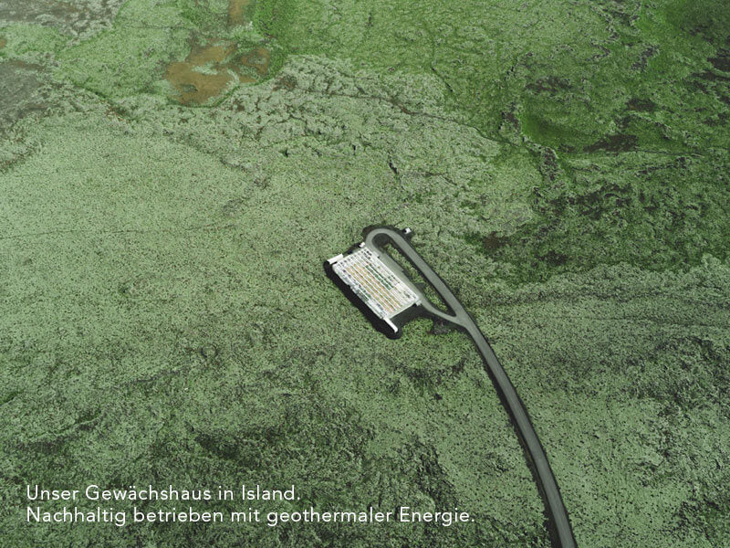 Luftaufnahme des Bioeffect Gewächshauses in Island